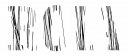 Roia Logo