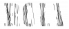 ROIA MUSIC